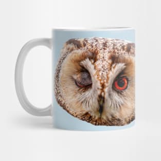 Winking Long Eared Owl Mug